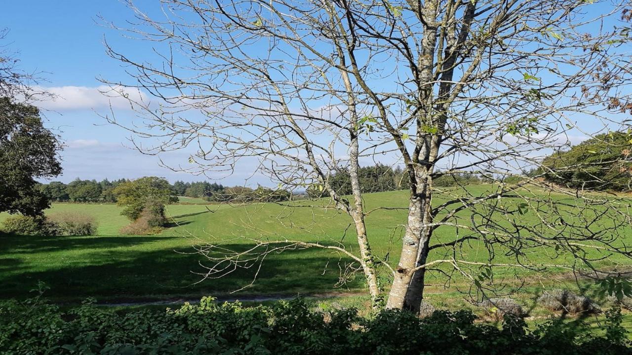 L'Ancien Presbytere Lescouet-Gouarec Exteriör bild
